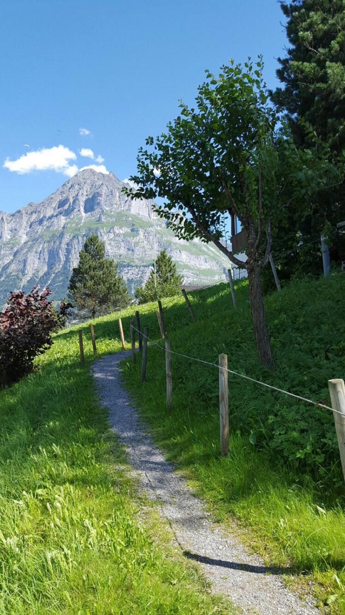 Chalet Waergistal Grindelwald Exterior photo