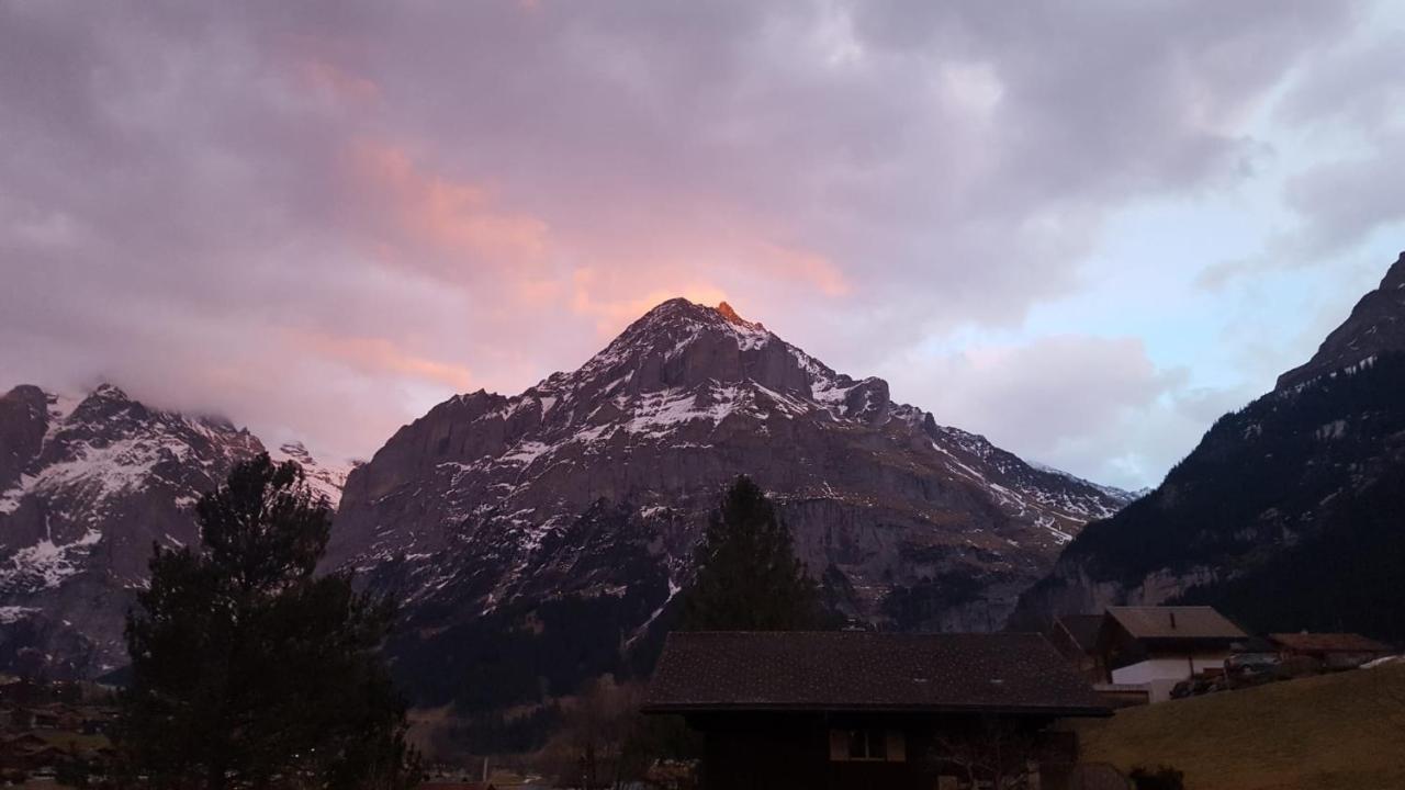 Chalet Waergistal Grindelwald Exterior photo